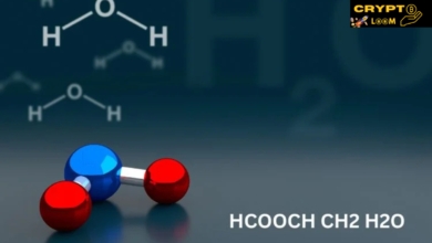 Hcooch ch2 h2o