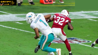 Arizona cardinals vs miami dolphins match player stats