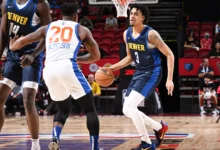 Denver nuggets vs knicks match player stats