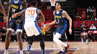 Denver nuggets vs knicks match player stats